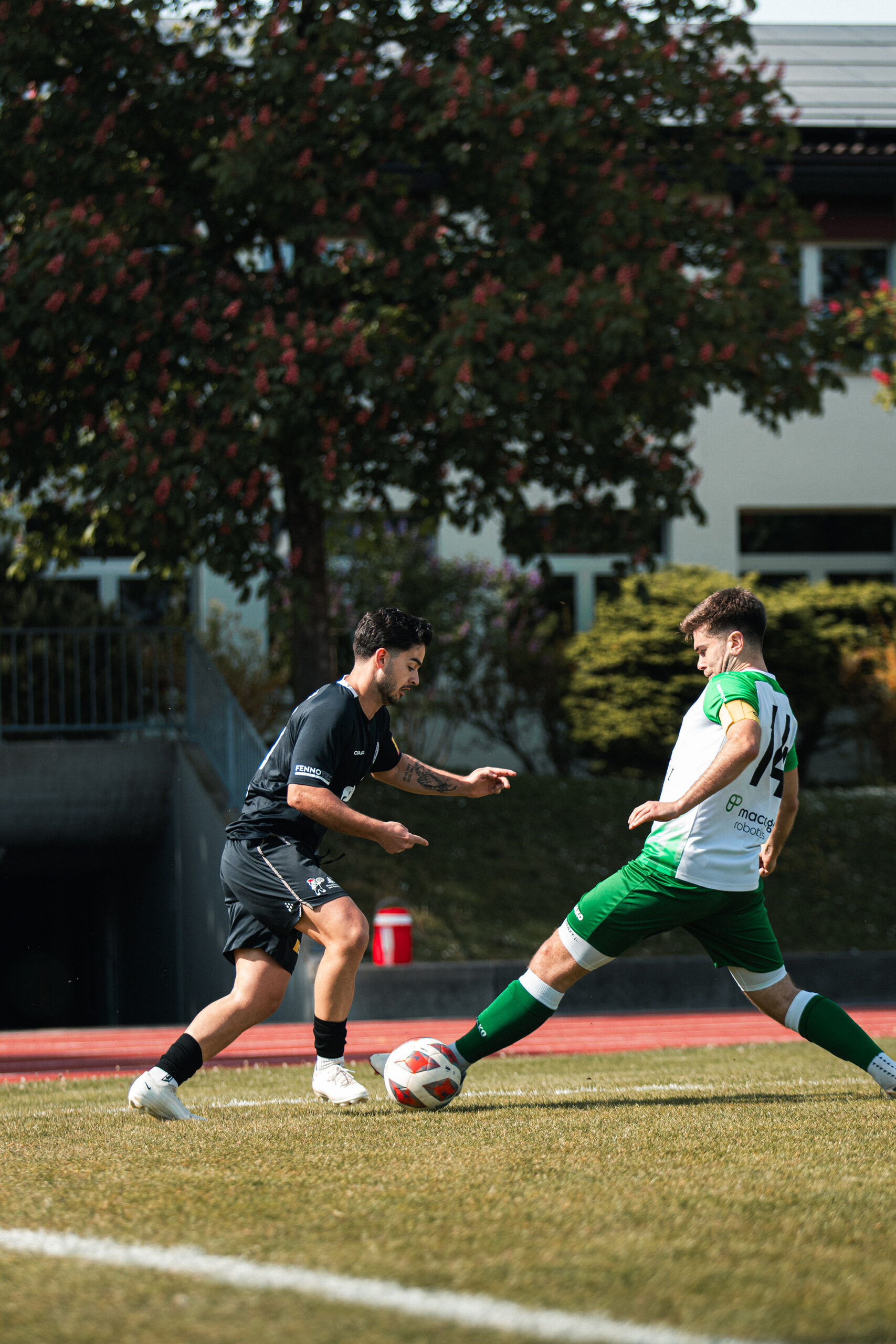19 – IMG_6085