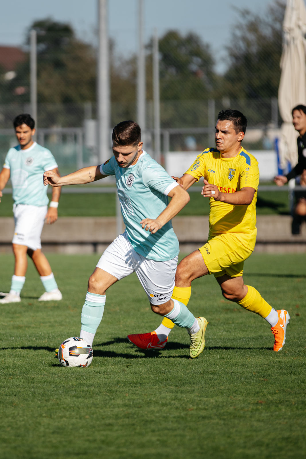 11 – IMG_7267